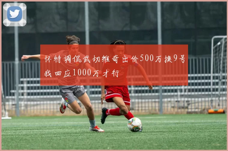 怀特调侃武切维奇出价500万换9号我回应1000万才行