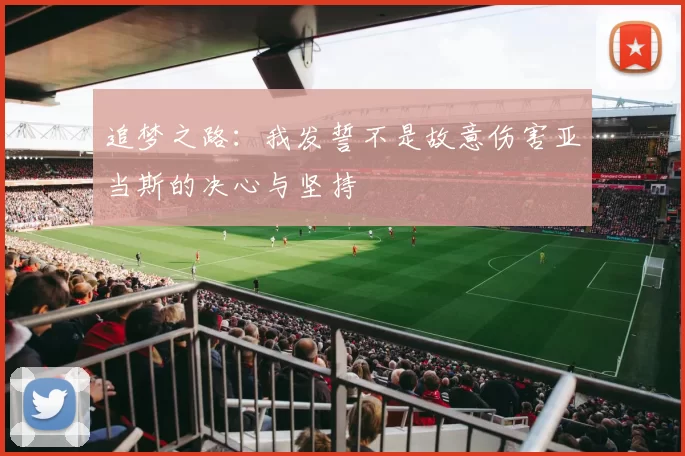 追梦之路：我发誓不是故意伤害亚当斯的决心与坚持